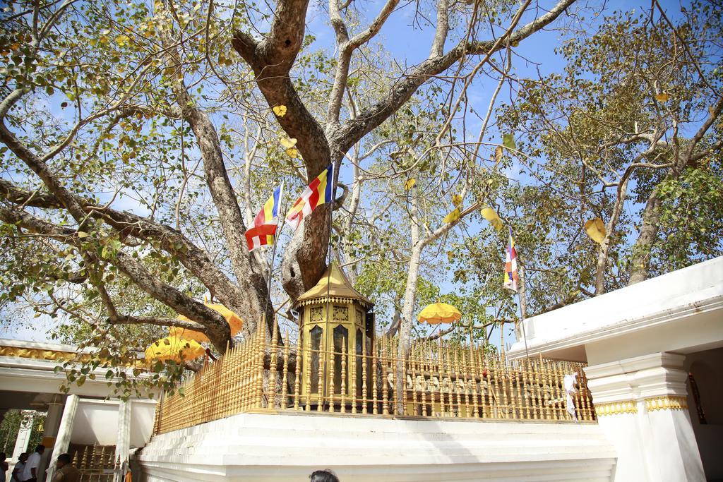 Hotel Cottage Tourist Rest Ponnarankulama Exterior photo